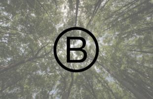 Le focus sur le label B-Corp