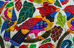 Biodiversité textile : piloter et mesurer l’impact
