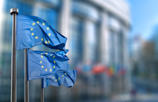 Les Vendredis RSE : Comprendre l’Europe