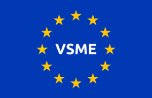 VSME