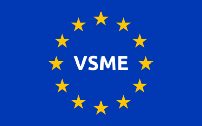 Les Vendredis RSE : La Norme VSME