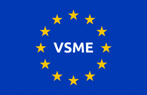 Les Vendredis RSE : La Norme VSME